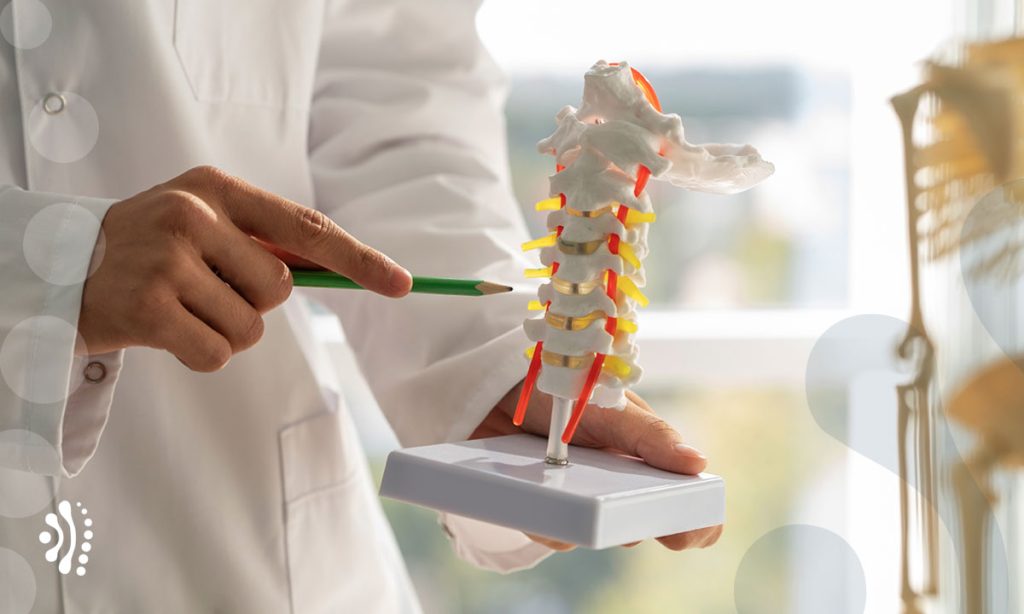 tumores na coluna vertebral dr eloy rusafa neurocirurgiao coluna vertebral